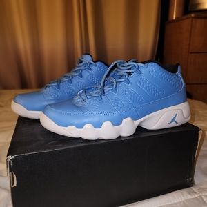 Air Jordan Retro 9 Pantone